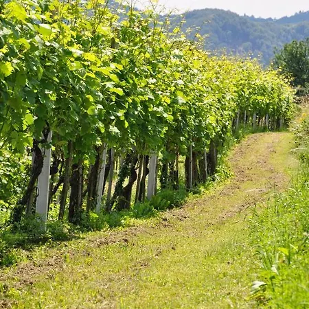 Dolinsek Vendégház Sevnica