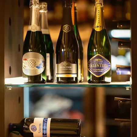 Dolinsek Penzion Sevnica