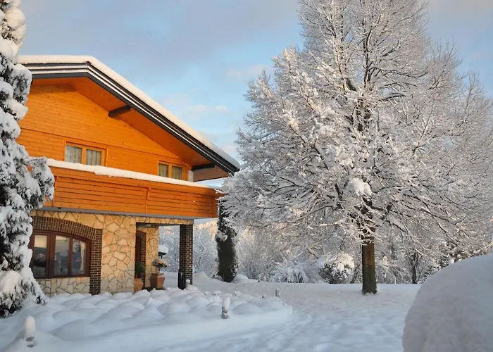 게스트하우스 Dolinsek Sevnica