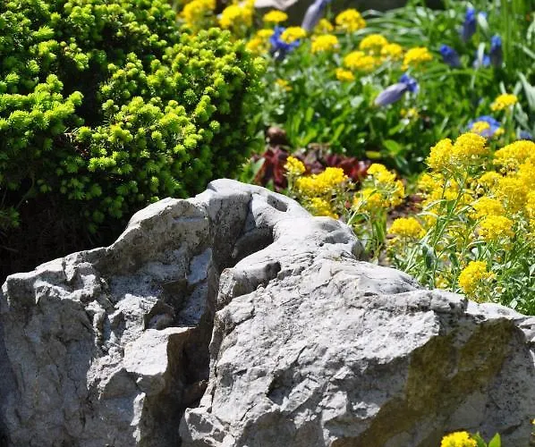 게스트하우스 Dolinsek