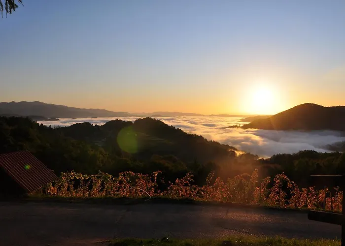 게스트하우스 Dolinsek 4*