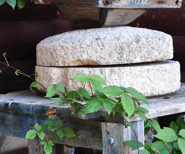 게스트하우스 Dolinsek