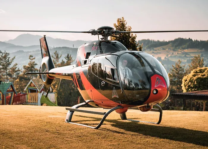 Dolinsek 게스트하우스