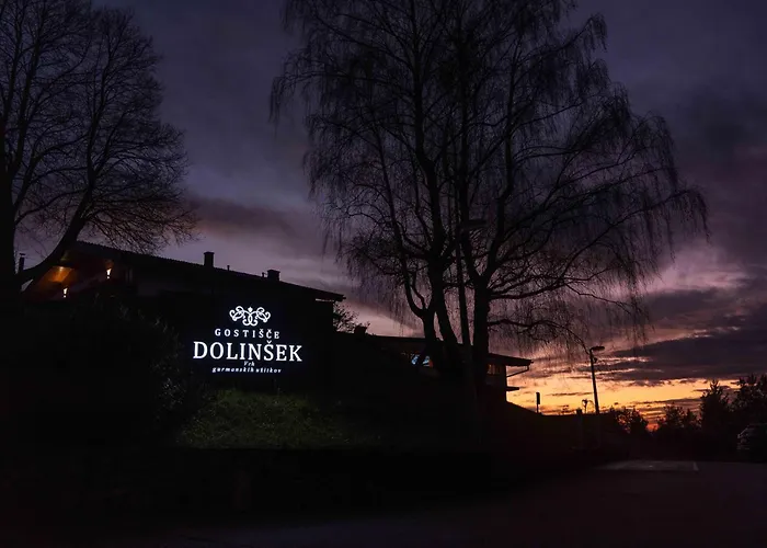 Dolinsek 게스트하우스